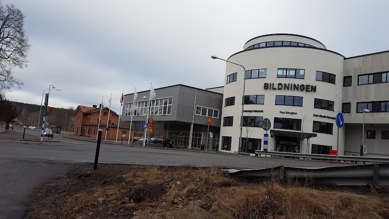 Stadsfesten på Finspångs bibliotek