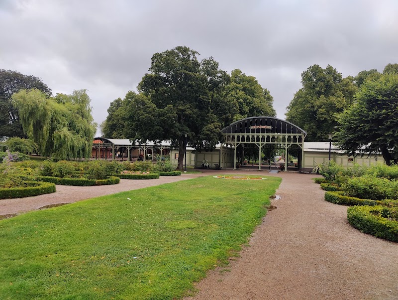 Skogsbad i Ronneby