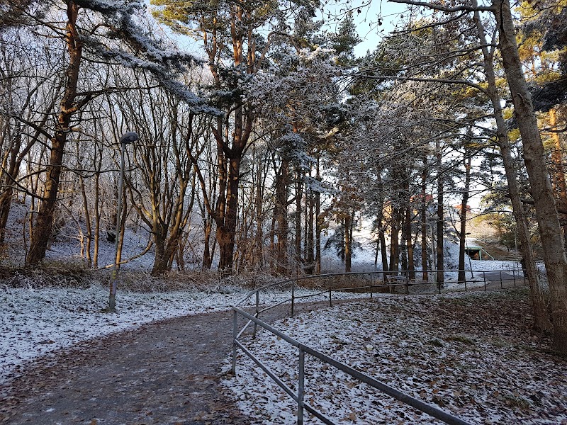 Naturvetenskapliga experiment engagerar elever på Lerlyckeskolan