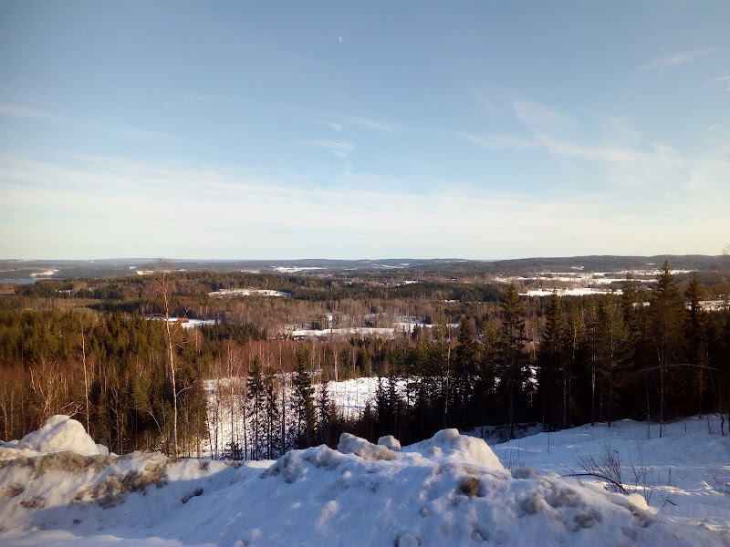 Jössefröjda i Arvika centrum
