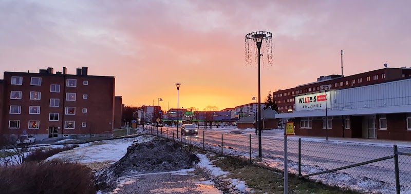 Dansens dag firades med massdans i Timrå
