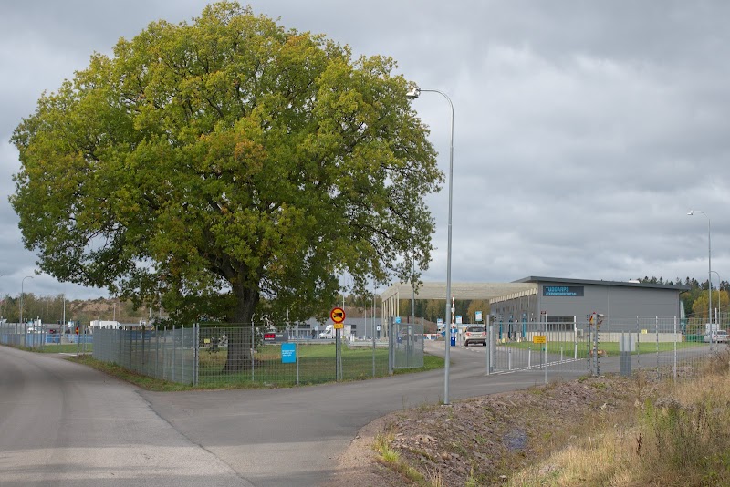 Biogasbilar säljs av Motala–Vadstena-nämnden