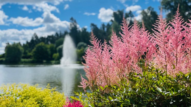 Kumla klättrar 64 placeringar i Svenskt Näringslivs ranking