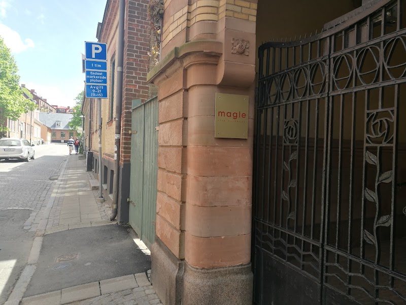 Musik på Mors dag – konsert med Lunds Nya Kammarorkester