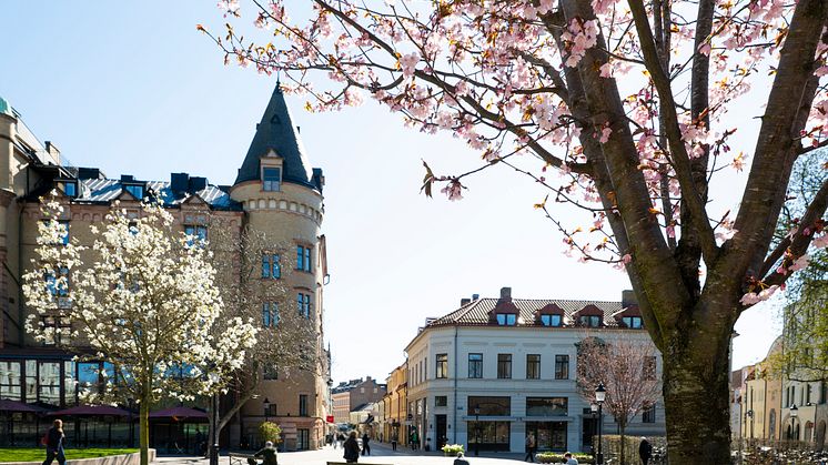 Lund klättrar åtta platser i Svenskt Näringslivs ranking