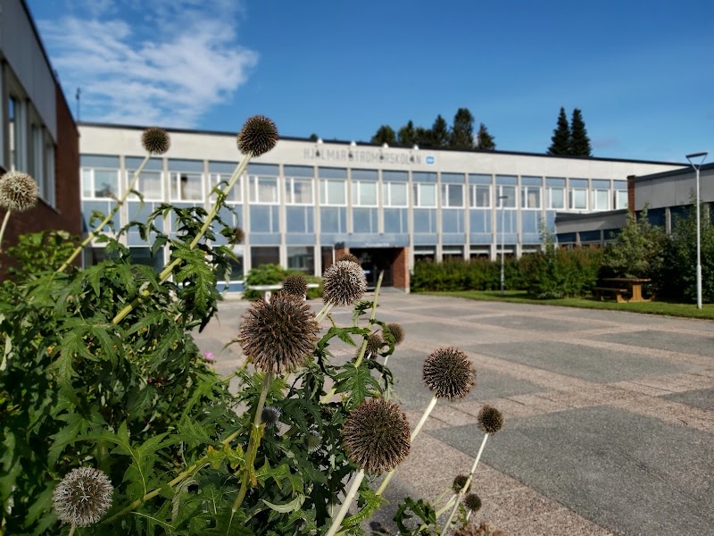 Samråd om ny utbildningsplan för introduktionsprogram i Strömsund