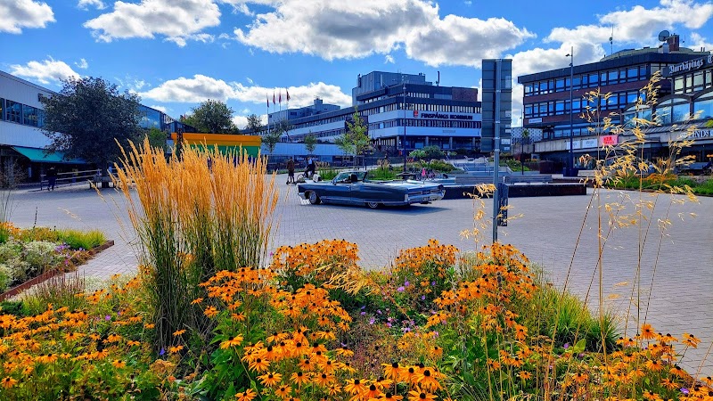 Finspång klättrar 41 placeringar i Svenskt Näringslivs företagsranking 2026