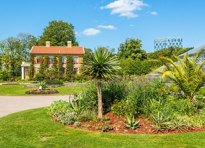 Göteborg satsar på pollinatörer med ängsytor i stadsparker