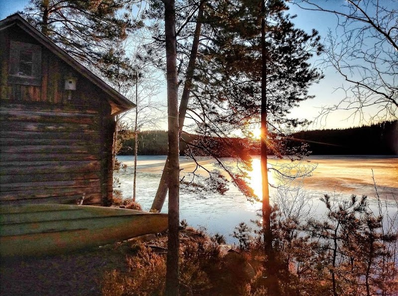 Arvika säger nej till utredning om skottpeng på vildsvin