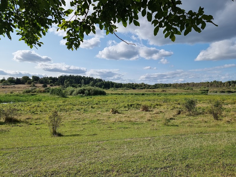 Betesdjuren har anlänt till Gredelby hagar i Knivsta