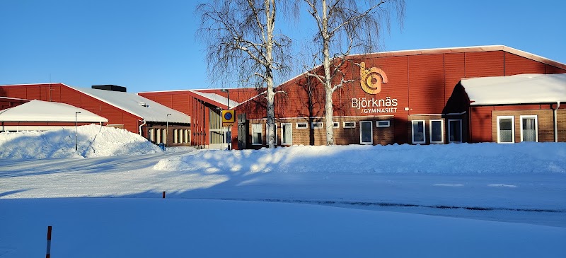 Boden satsar 1,75 miljoner på ny lastbil till gymnasiet