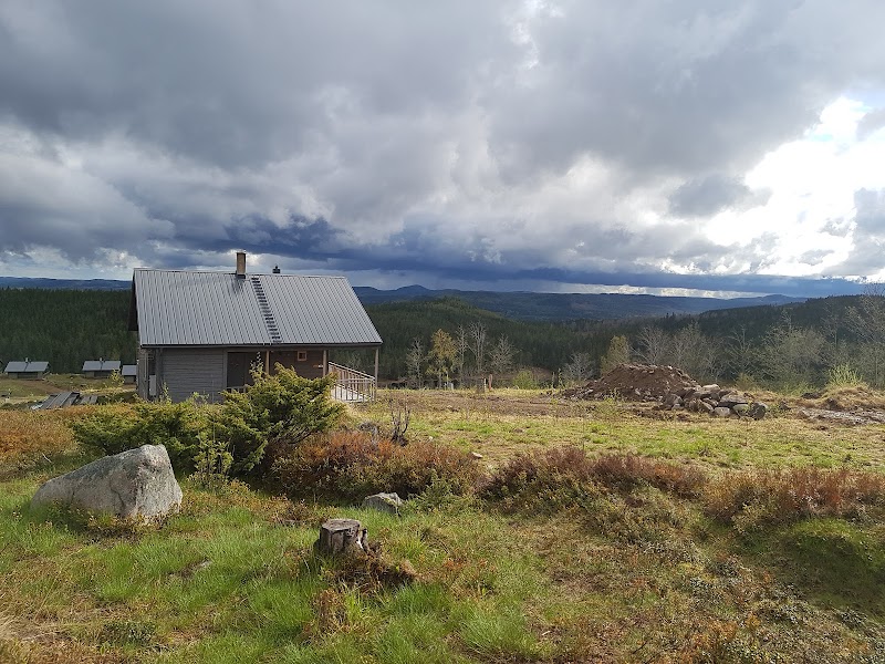 Mattila Orienteering Meeting Social – orientering och gemenskap