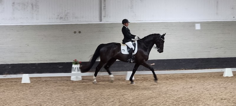 Hallstahoppet ponnymeeting på Hallsta Ridklubb