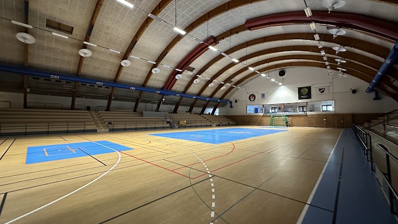 European League i Lund – volleyboll med herrlandslaget