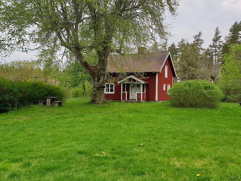 Stora lupinbekämpardagen
