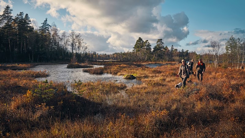 Leringen Jakt och Fiske AB i konkurs efter nyregistrering