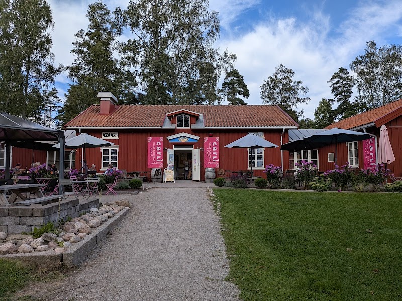 Nationaldagsfirande i Arvika