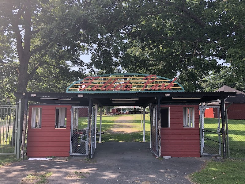 Hultsfredsträffen med nationalfirande i parken