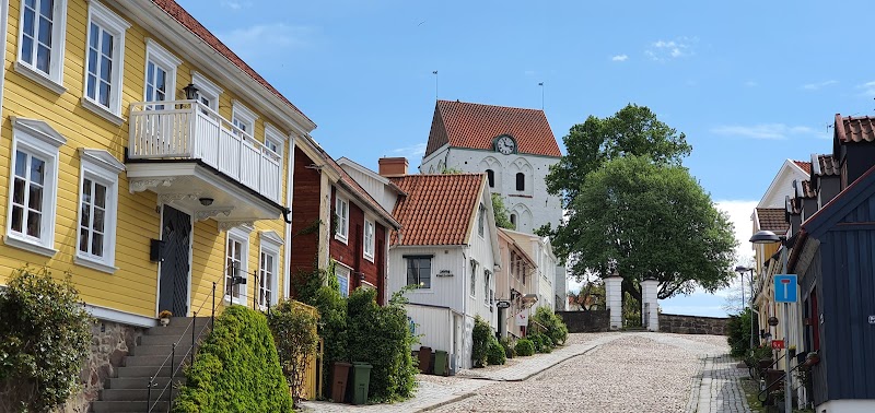 Nationaldagskonsert: Förklädd Gud av Lars‑Erik Larsson