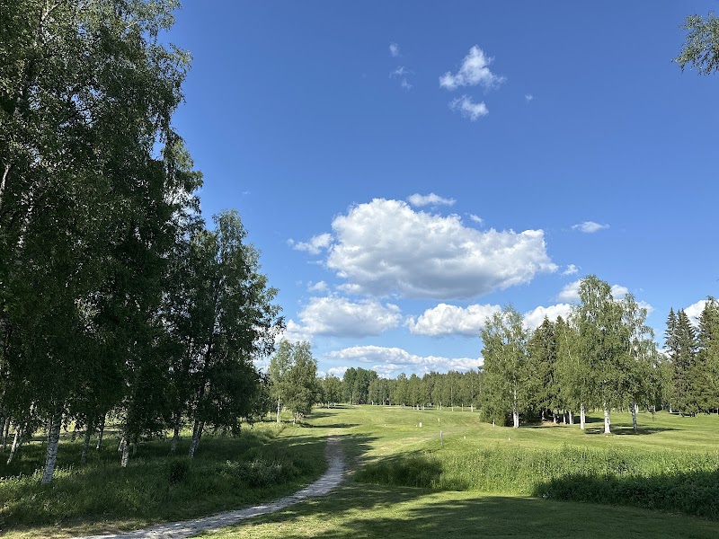 Nationaldagsgolfen i Leksand