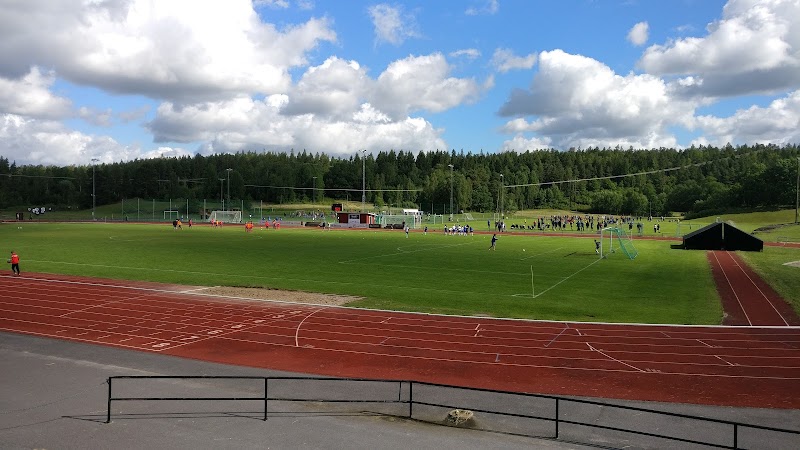 Halvmiljon föreslås till strategi för Finspångs anläggningar