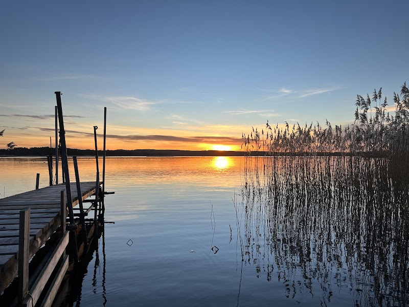 Sölvesborgsviken: stadsnära natur, fågelliv och vår gemensamma plats