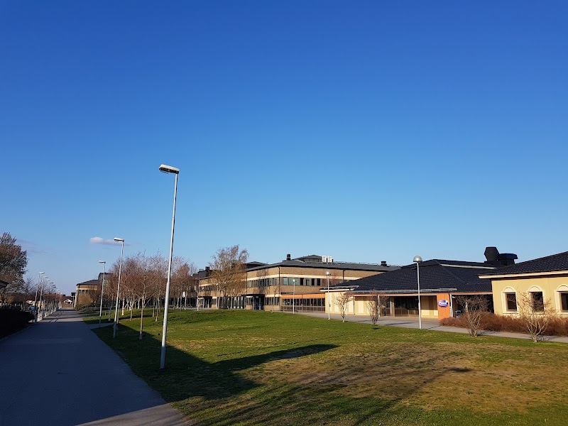 Varberg vill säkra pengar till skolsociala team på PS