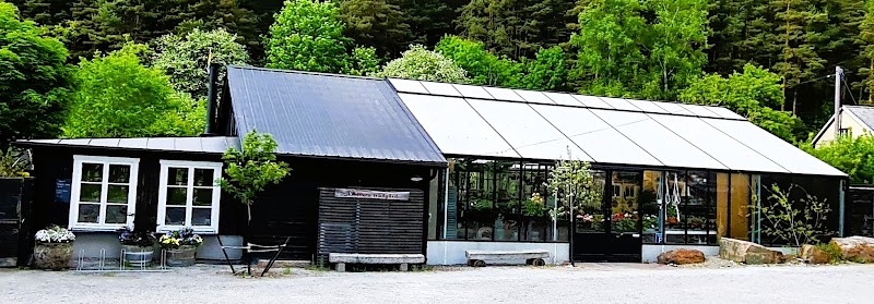 Trädgårdshäng med musik på Nora trädgård