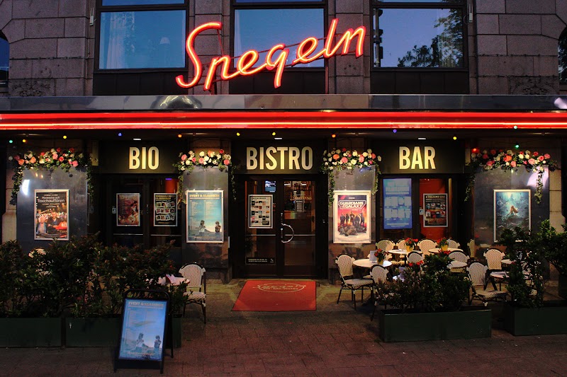 Studio Ghibli Day på Biograf Spegeln