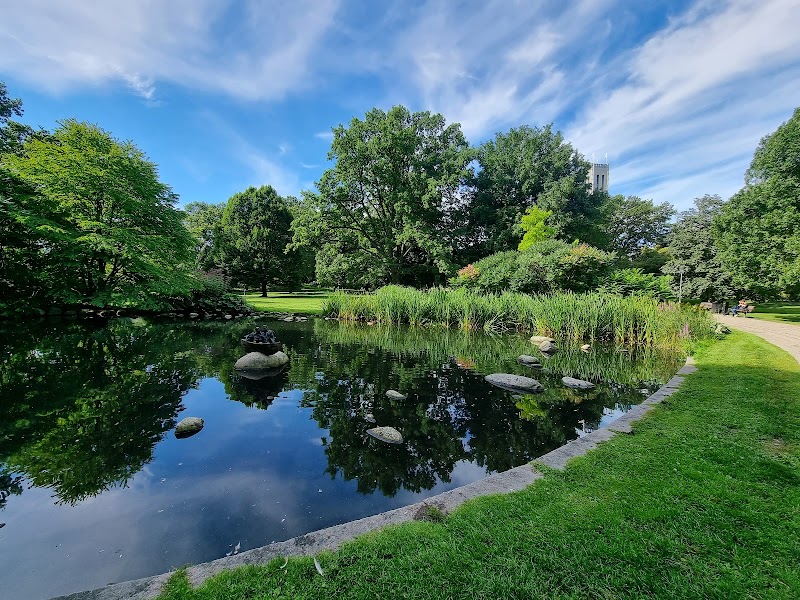 Ponnyridning och islandshästar i Vasaparken