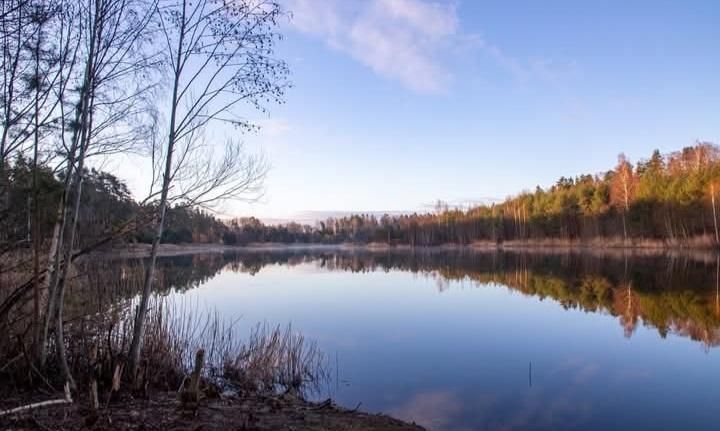 Fynd i Säbylundssjön visade sig vara inhemsk växt