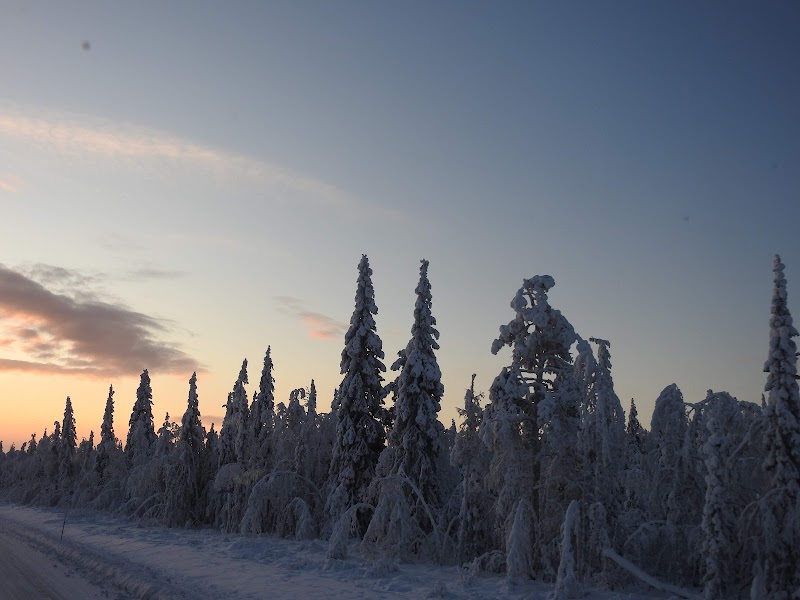 Trafikkontroller i Norrbotten – få anmärkningar under nykterhetsinsats