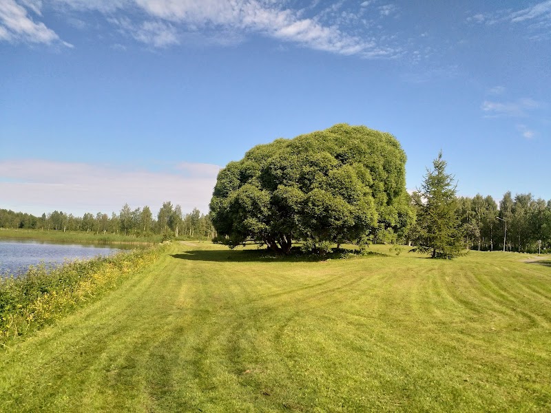 Trafikkontroller i Norrbotten den 10 juni – få anmärkningar och fyra böter för hastighet