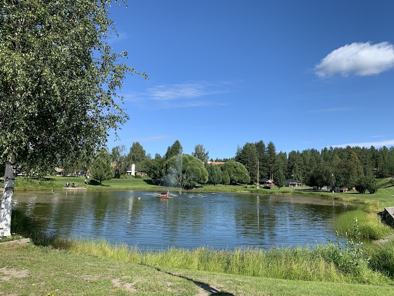 Veteranfordonsträff i Lomtjärnsparken