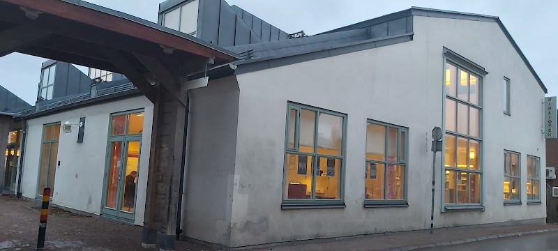 Läsa äger på biblioteket
