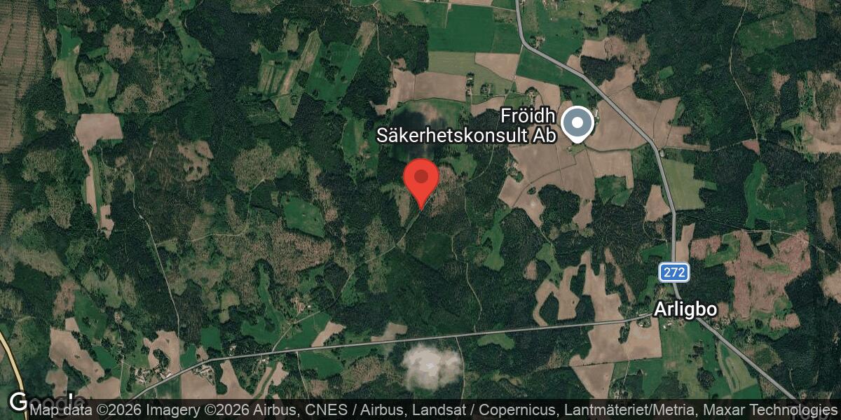 Nedfallet träd blockerade väg 870 mellan Litselbo och Buckarby