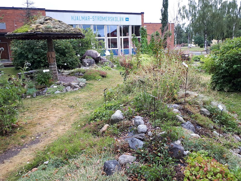 Plantbytardag i Geologiska trädgården