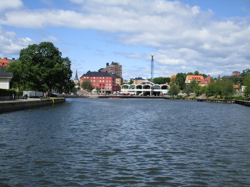 Hundpromenad till Torekällberget