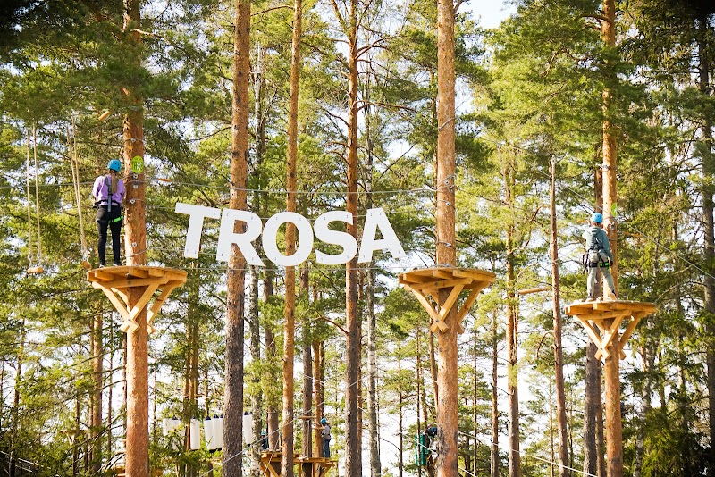Skolavslutning med äventyr och klätterpark