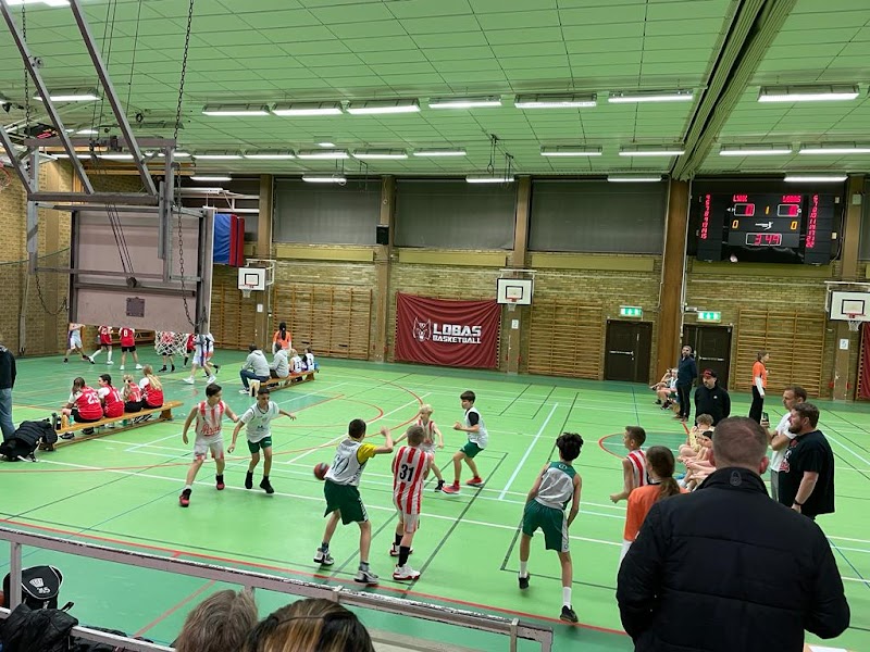 Lobas sommarläger – basket för barn 2015–2019
