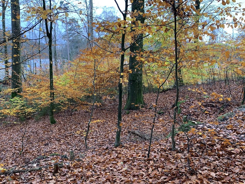 Åkullaveckan