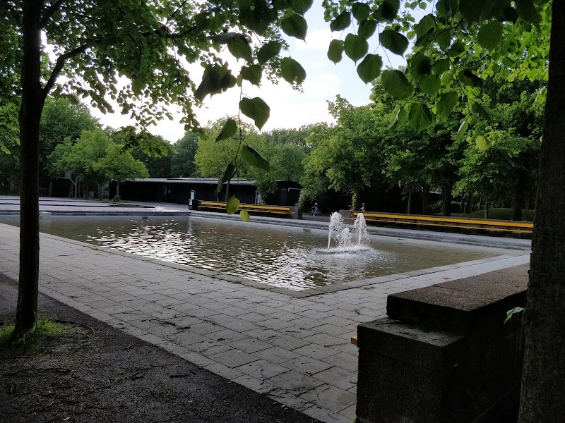 Sommarfäktning i Borgarparken