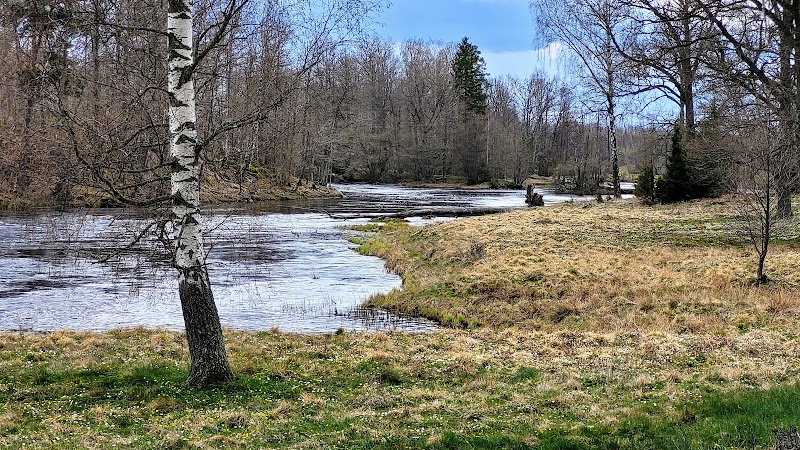 Firande i Fliseryds hembygdspark