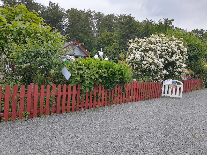 Fira midsommar i Sommarstaden