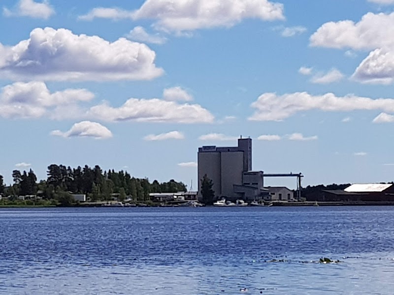 MidsummerSail och Töre Hamnfestival i Kalix