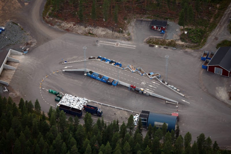 Älvsbyns sommarväxtjakt mot invasiva växter – delta och vinn presentkort