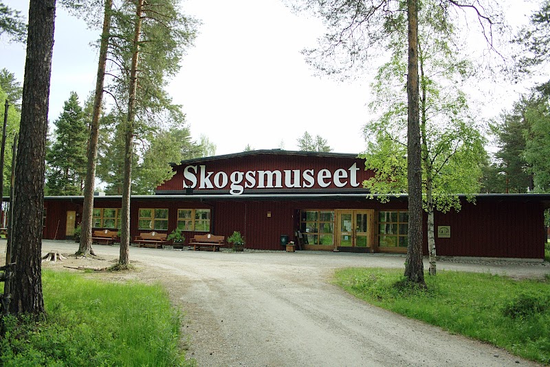 Samisk seniorresa till Skogs- och samemuseet i Lycksele
