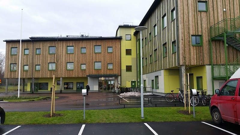 Digitalisering och välfärdsteknik i Hallstahammars äldreomsorg