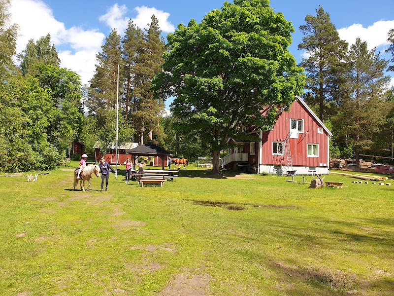 Djurdagläger på 4H-gård i Järbo