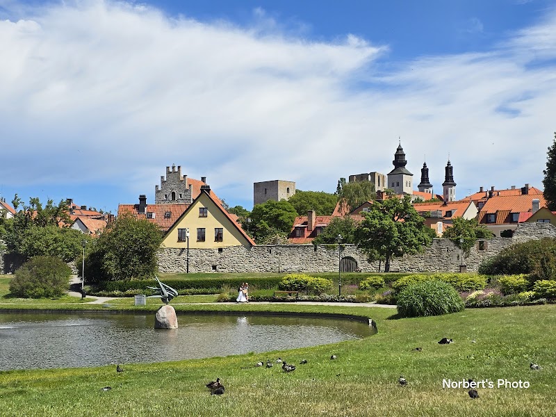 Almedalsveckan i Visby: varför veckan betyder så mycket för Gotland